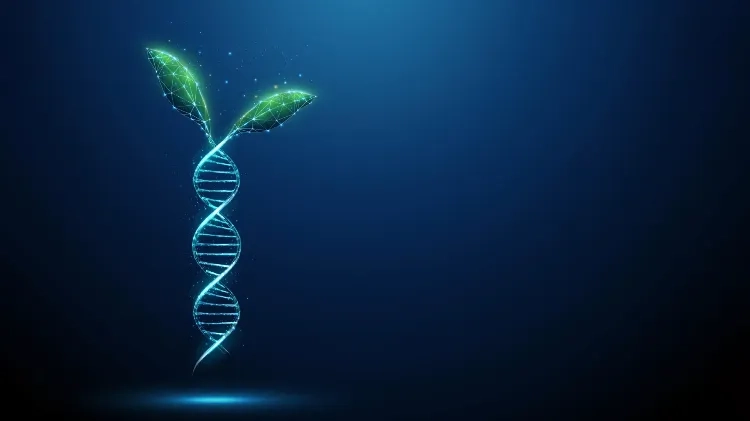 植物藏了4亿年的开关,现在能帮我们种好粮