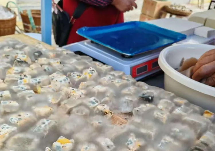 自制霉豆腐变养蛊?别拿健康赌风味