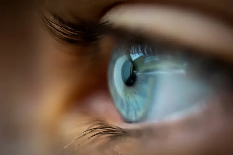 吃海鲜染眼病?海洋病毒首次跨界致病