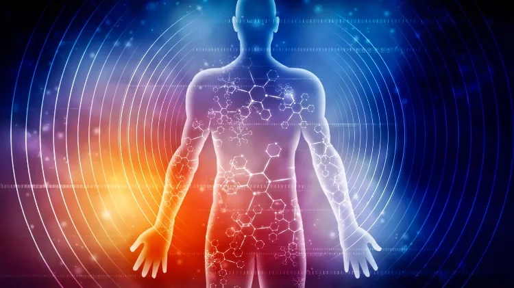 七天禁食不是饿瘦,是全身分子大洗牌