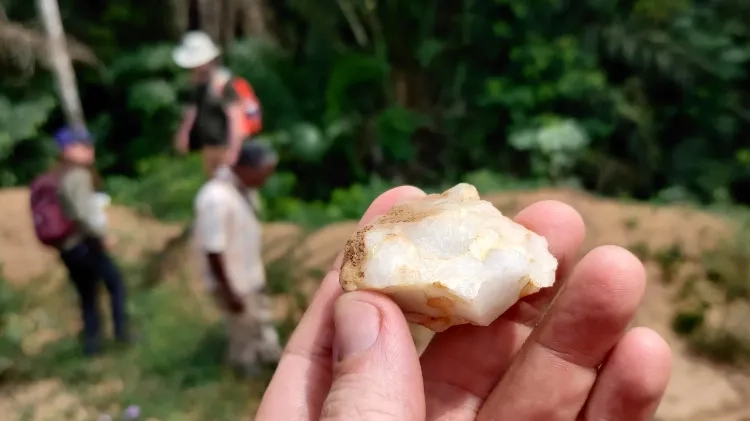 西非雨林15万年前人类足迹,解码「光释光测年」与进化新论