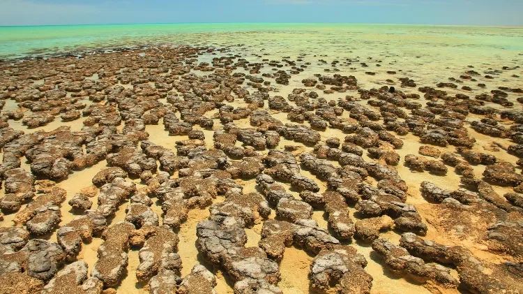 小行星撞出来的热液湖,竟是地球产氧摇篮