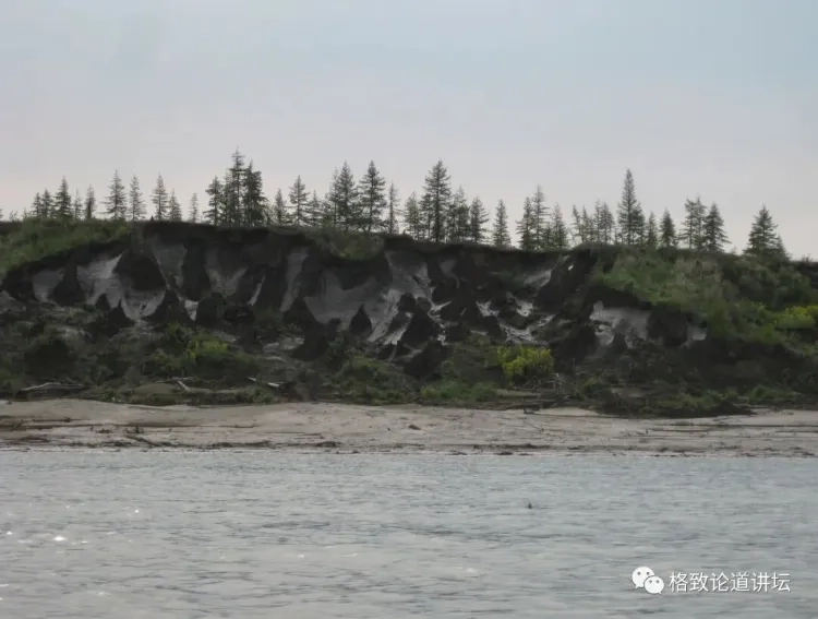 木头埋进土里留不住碳,微生物的尸体才是土壤真正的碳银行