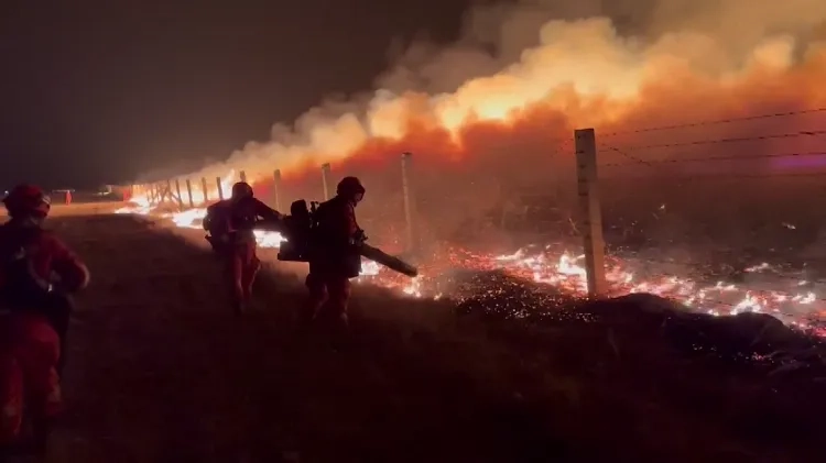 3400人堵住一场草原大火,真正拦火的却是牛和铁丝网