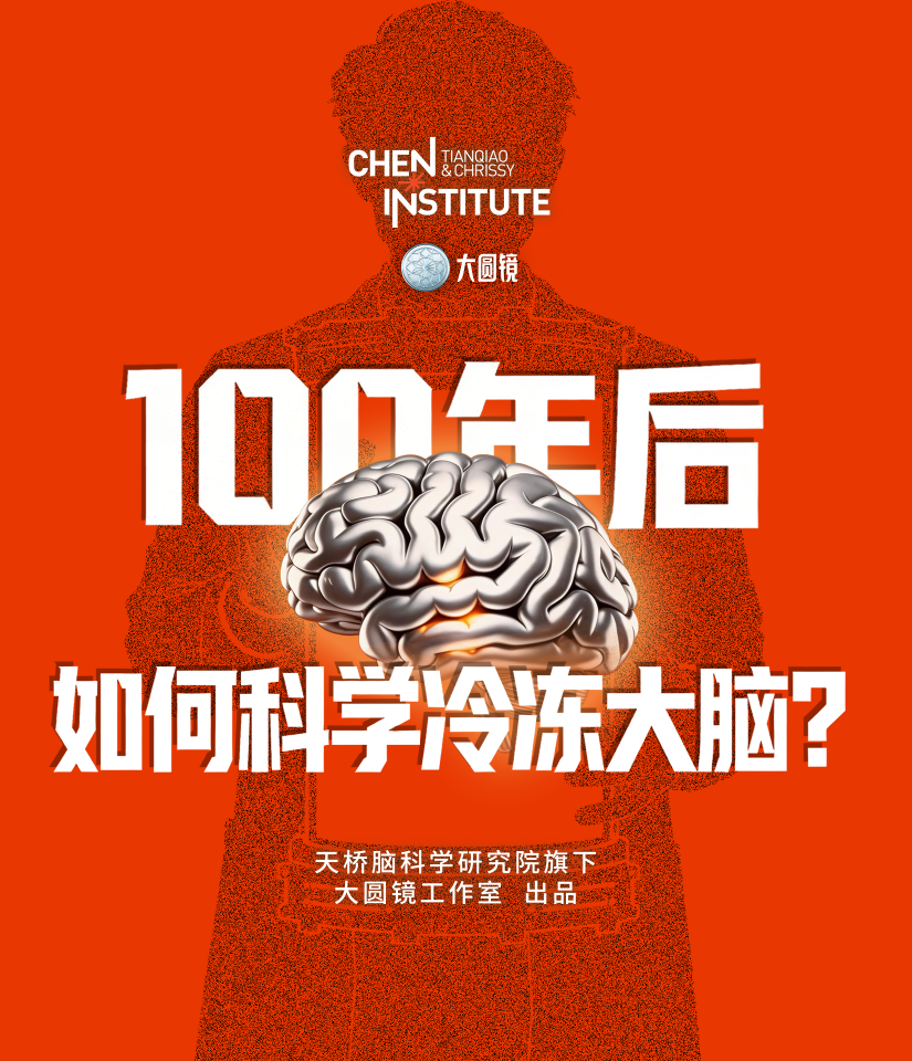 流浪宇宙，你敢只带大脑走吗？