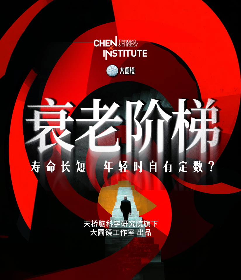 衰老阶梯：寿命长短，年轻时自有定数